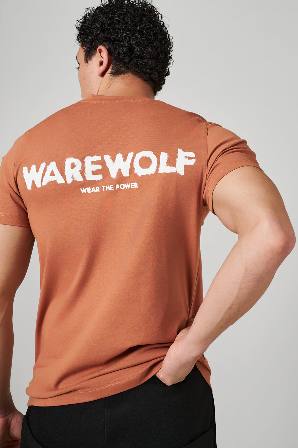 Spot WolfKnit Sportswear Crewneck Peach